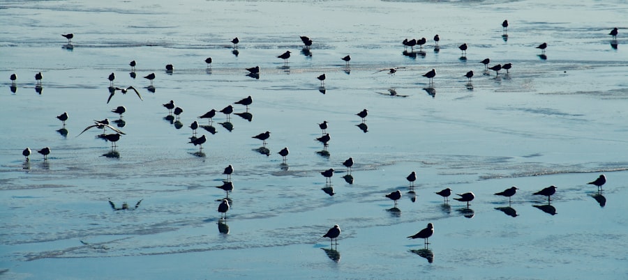 Group reflection