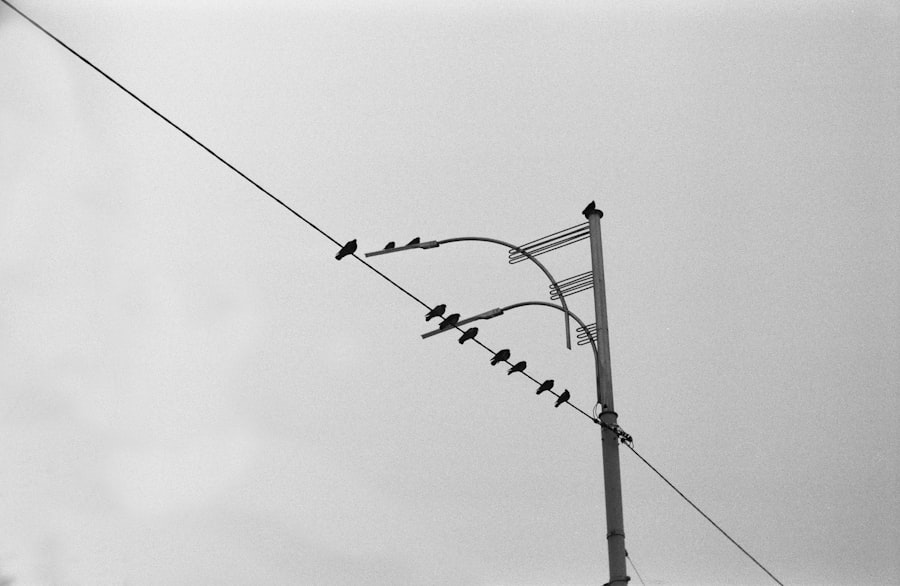 Photo Supportive network