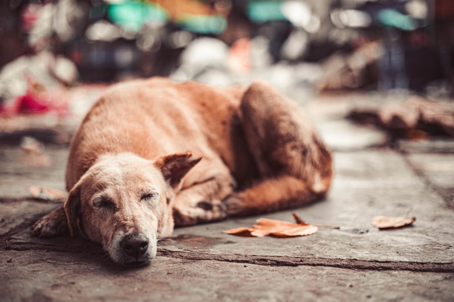Compassion Fatigue