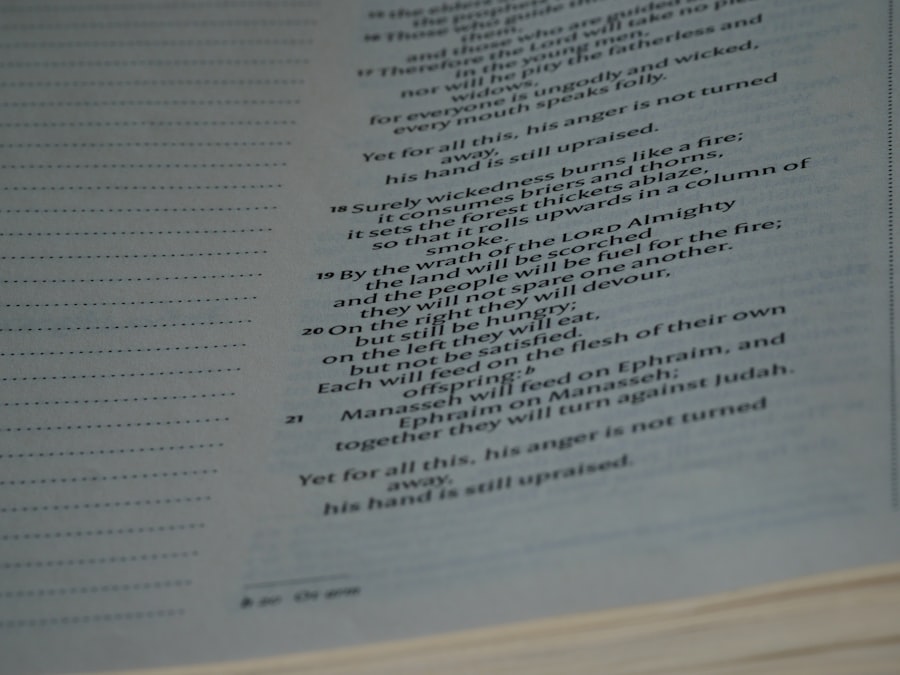 Photo Peer Review Programs